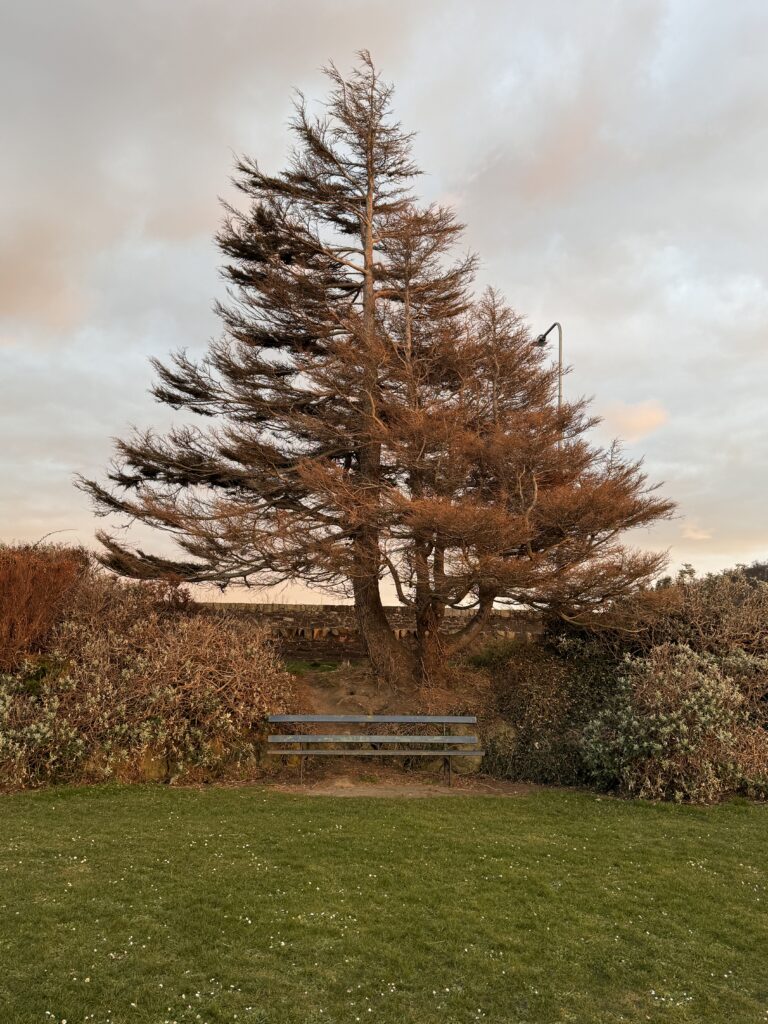 3 Days in North Wales — The Itinerary That Actually Works img 1708