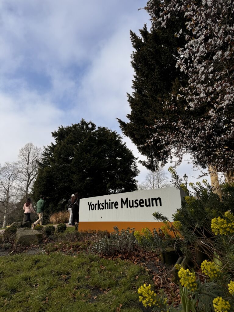 A Perfect Day in York: Walking Tours, Hidden Streets & Timeless History img 4256