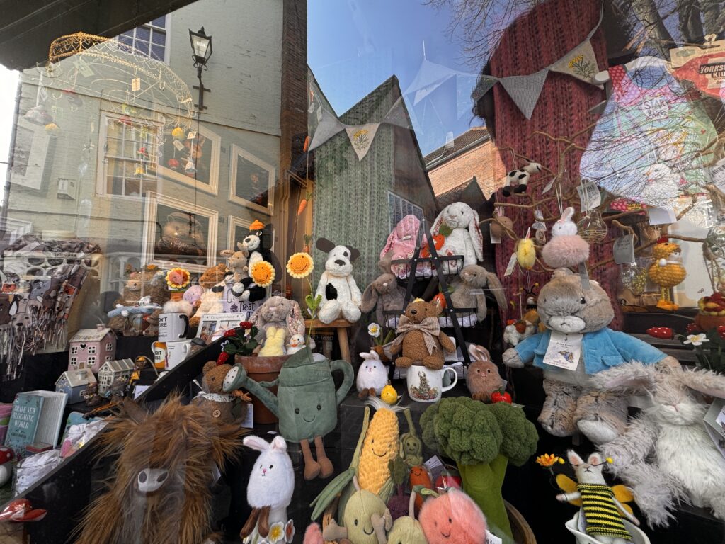 A Perfect Day in York: Walking Tours, Hidden Streets & Timeless History img 4305