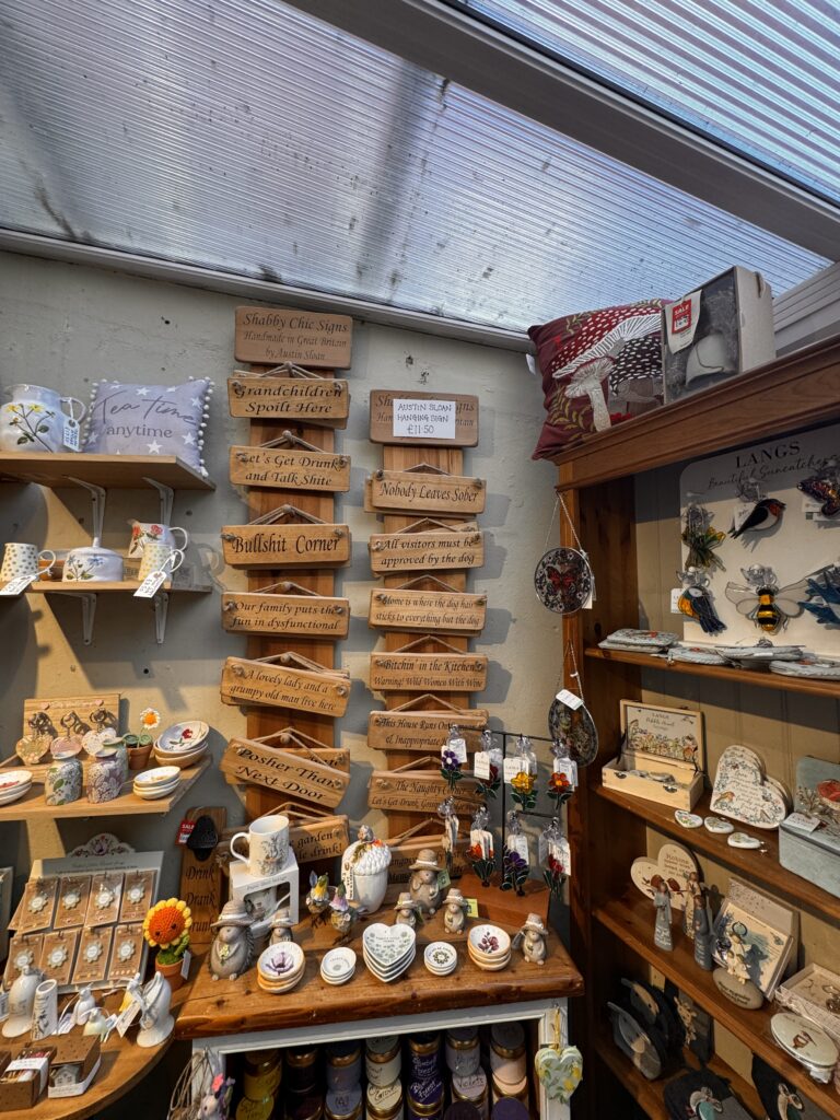 A Perfect Day in York: Walking Tours, Hidden Streets & Timeless History img 4352