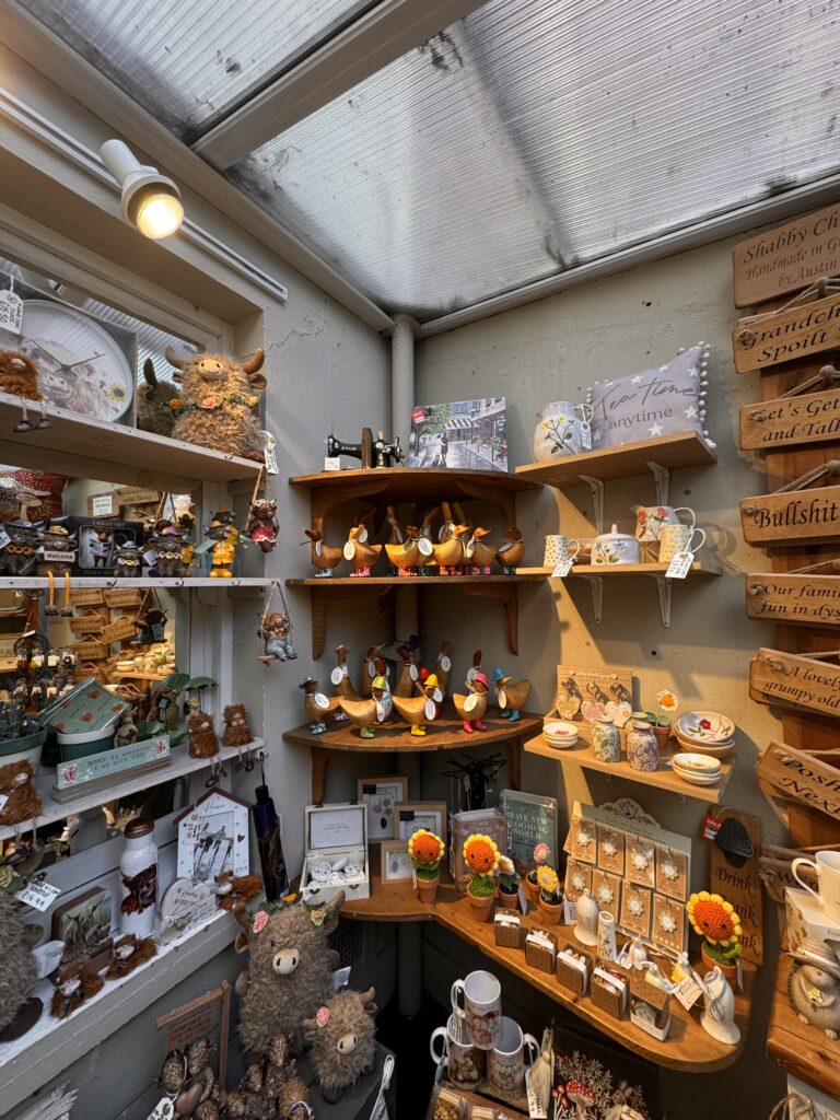 A Perfect Day in York: Walking Tours, Hidden Streets & Timeless History img 4353