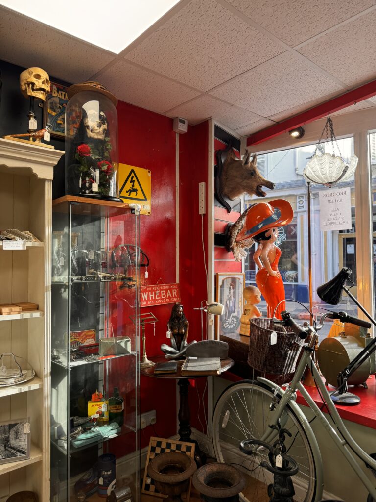 A Perfect Day in York: Walking Tours, Hidden Streets & Timeless History img 4361